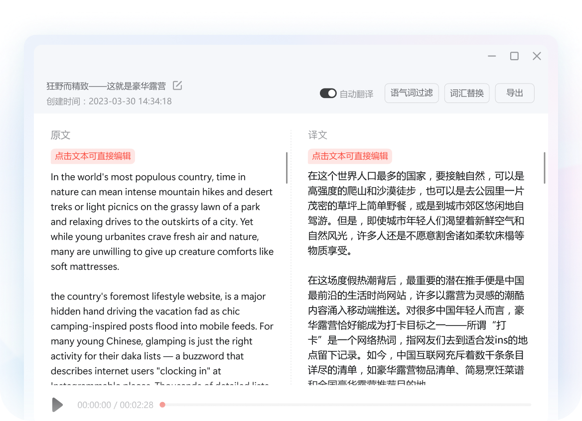 有道翻译长文文档翻译功能展示图